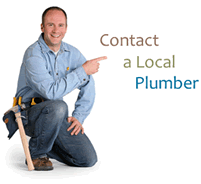 professional plumbers